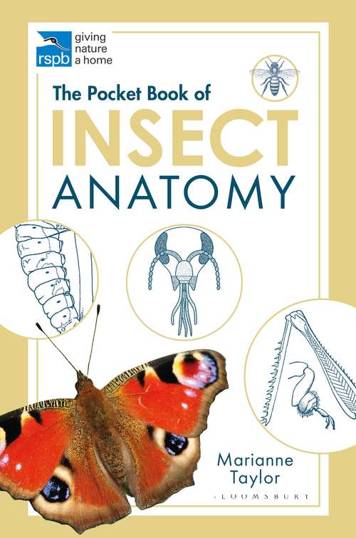 Book cover of The Pocket Book of Insect Anatomy (RSPB)