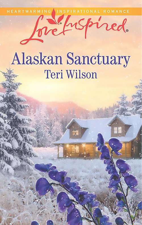 Book cover of Alaskan Sanctuary: Amish Homecoming Her Small-town Cowboy Alaskan Sanctuary (ePub edition) (Mills And Boon Love Inspired Ser.)