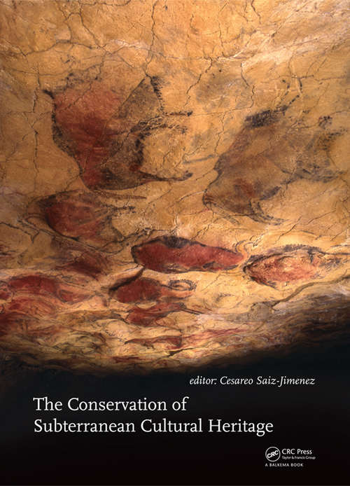 Book cover of The Conservation of Subterranean Cultural Heritage