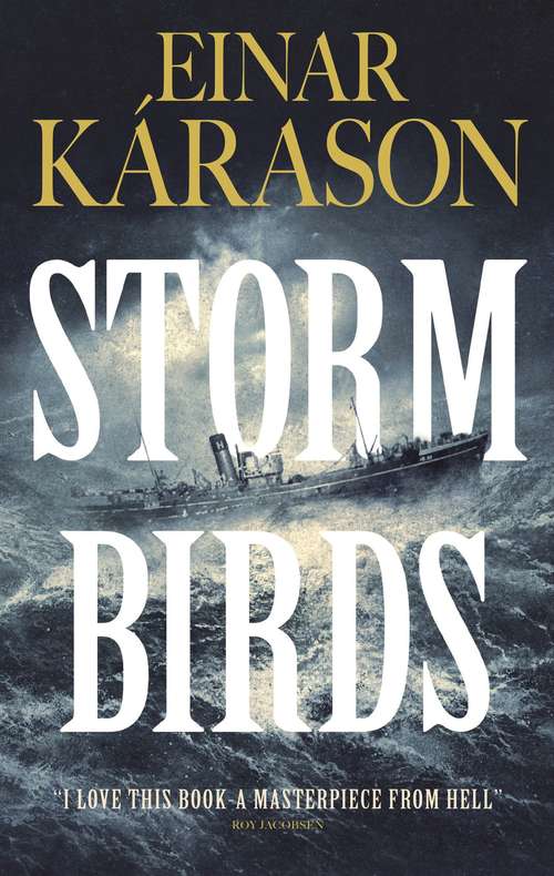 Book cover of Storm Birds