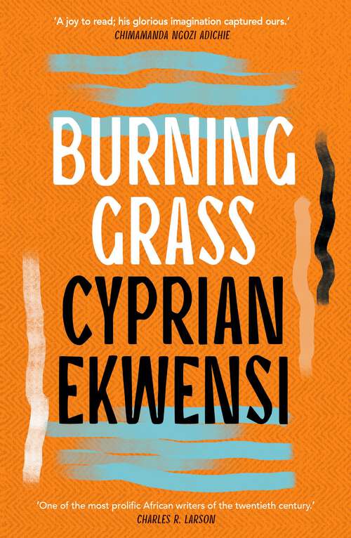 Book cover of Burning Grass