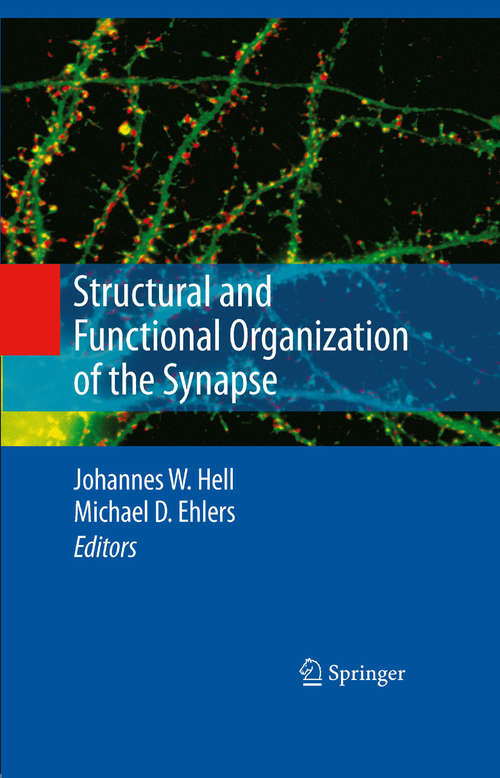 Book cover of Structural and Functional Organization of the Synapse (2008)