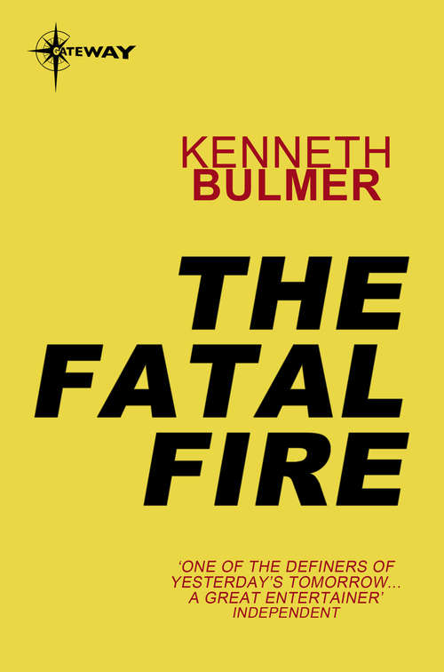 Book cover of The Fatal Fire