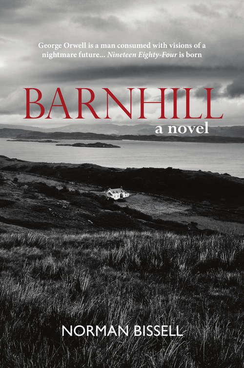 Book cover of Barnhill: a novel