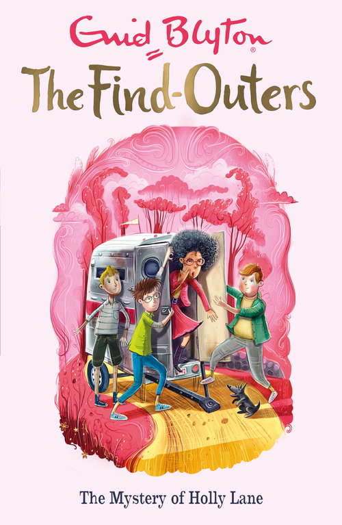Book cover of The Mystery of Holly Lane: Book 11 (The Find-Outers)
