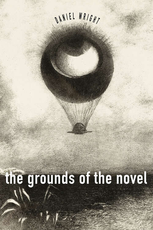Book cover of The Grounds of the Novel