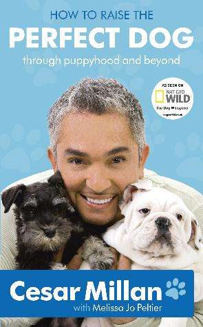 Book cover of How to Raise the Perfect Dog: Through puppyhood and beyond