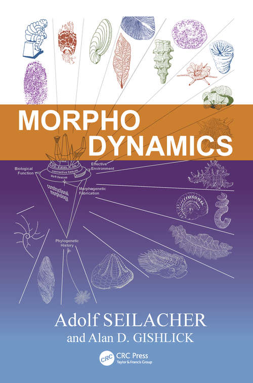 Book cover of Morphodynamics