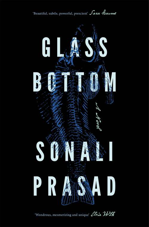 Book cover of Glass Bottom