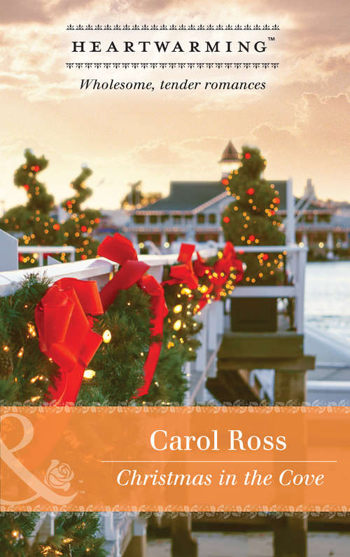 Book cover of Christmas In The Cove: Catch A Fallen Star Christmas In The Cove Meet Me On The Midway Silver River Secrets (ePub edition) (Mills And Boon Heartwarming Ser.)