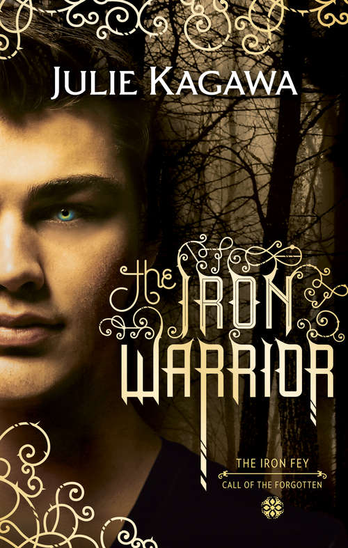 Book cover of The Iron Warrior: The Lost Prince The Iron Traitor The Iron Warrior Winter&#39;s Passage Summer&#39;s Crossing Iron&#39;s Prophecy (ePub First edition) (The Iron Fey #7)