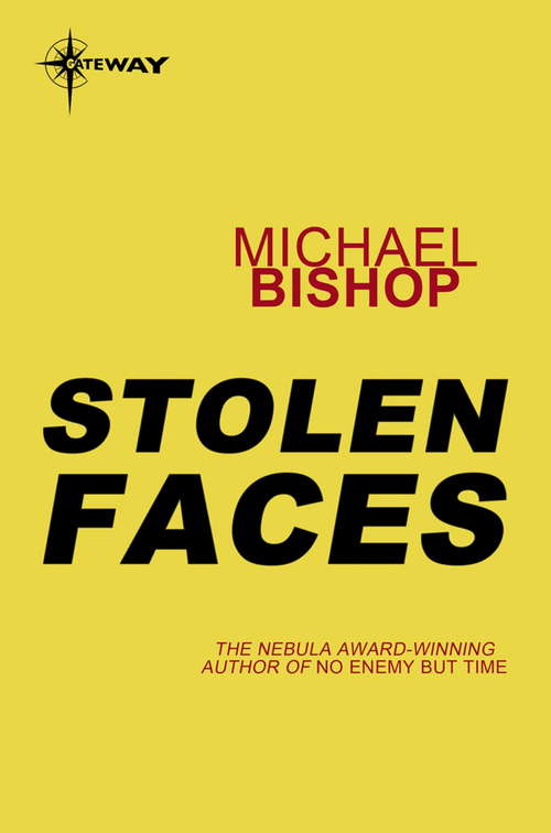 Book cover of Stolen Faces