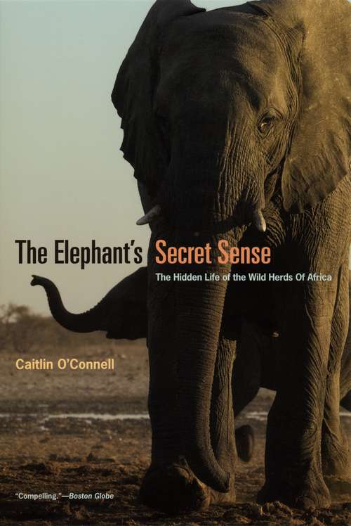 Book cover of The Elephant's Secret Sense: The Hidden Life of the Wild Herds of Africa