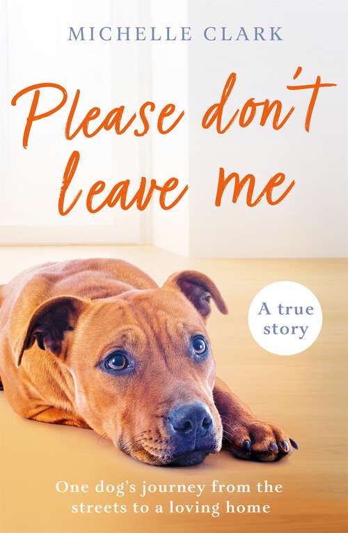 Book cover of Please Don't Leave Me: The heartbreaking journey of one man and his dog