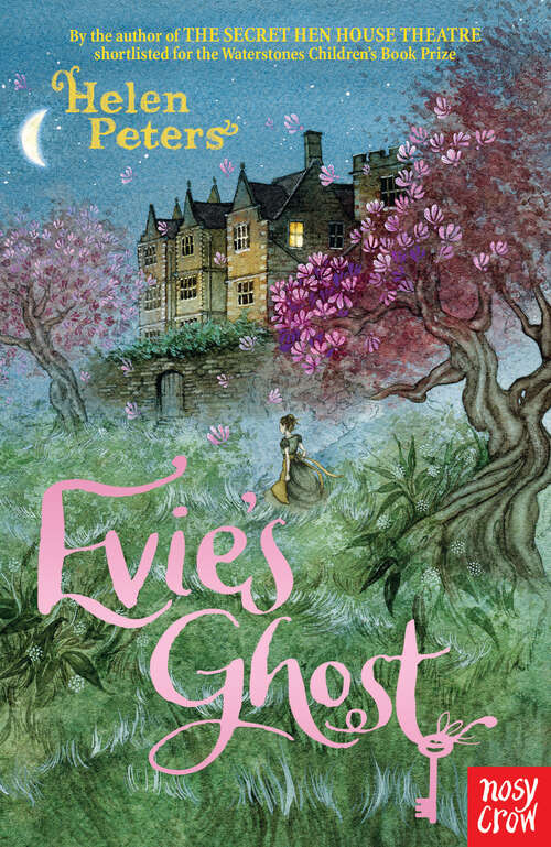 Book cover of Evie's Ghost