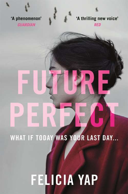 Book cover of Future Perfect