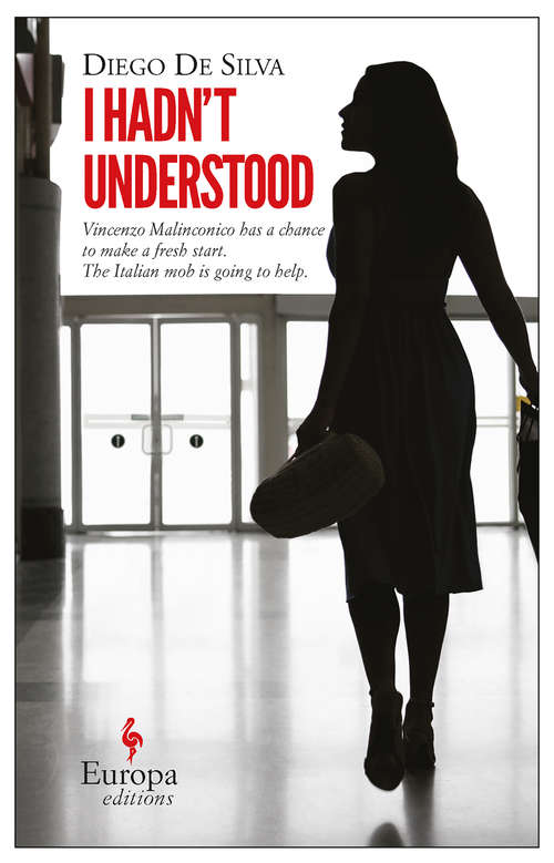 Book cover of I Hadn't Understood (The\vincenzo Malinconico Novels Ser. #1)