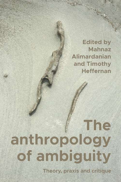 Book cover of The anthropology of ambiguity