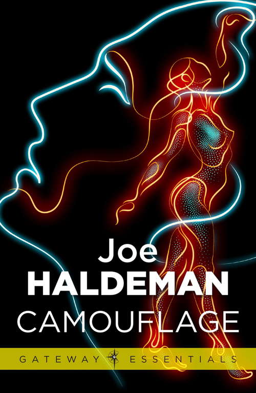 Book cover of Camouflage (Gateway Essentials)