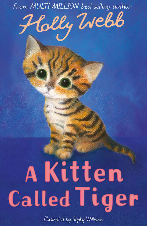 Book cover of A Kitten Called Tiger (Holly Webb Animal Stories #37)