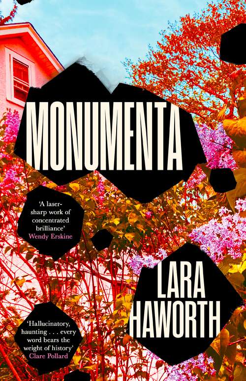 Book cover of Monumenta (Main)