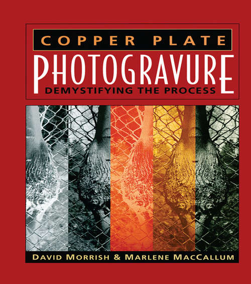Book cover of Copper Plate Photogravure: Demystifying the Process