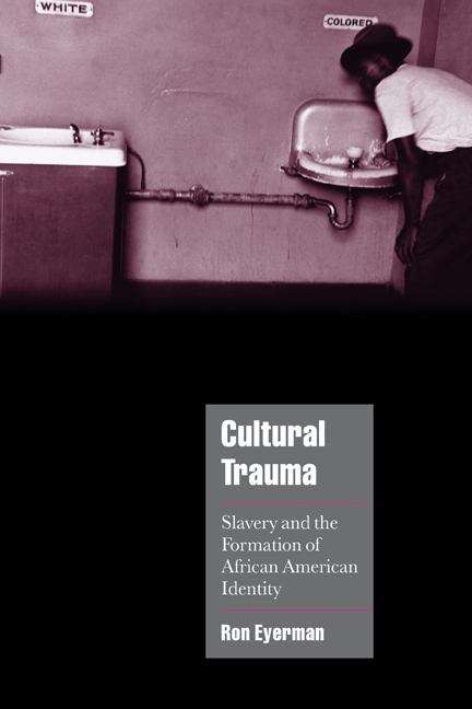Book cover of Cultural Trauma: Slavery and the Formation of African American Identity (PDF)