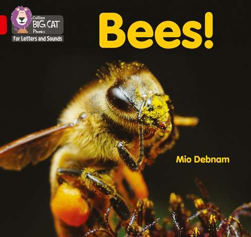 Book cover of Bees!: Band 02b/red B (PDF) (Collins Big Cat Phonics For Letters And Sounds Ser.)
