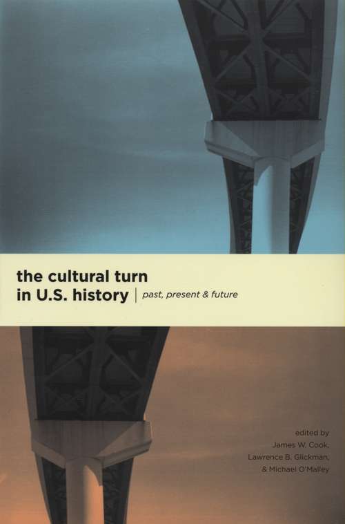 Book cover of The Cultural Turn in U. S. History: Past, Present, and Future (2)