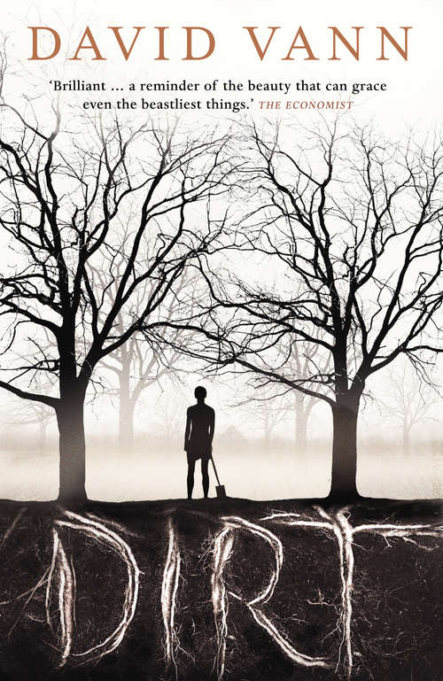 Book cover of Dirt