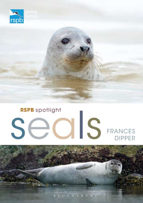 Book cover of RSPB Spotlight Seals (RSPB)