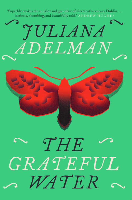 Book cover of THE GRATEFUL WATER