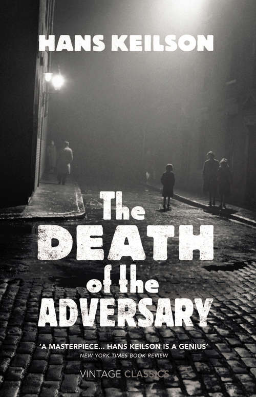 Book cover of The Death of the Adversary: A Novel