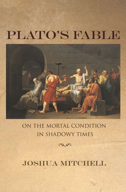 Book cover of Plato's Fable: On the Mortal Condition in Shadowy Times