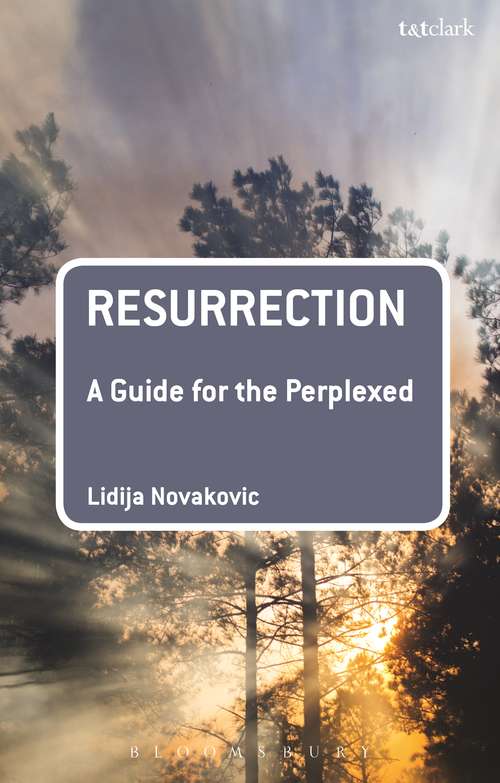 Book cover of Resurrection: A Guide for the Perplexed (Guides for the Perplexed)