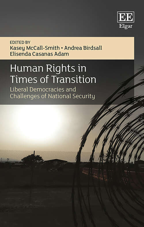 Book cover of Human Rights in Times of Transition: Liberal Democracies and Challenges of National Security (The Association of Human Rights Institutes series)