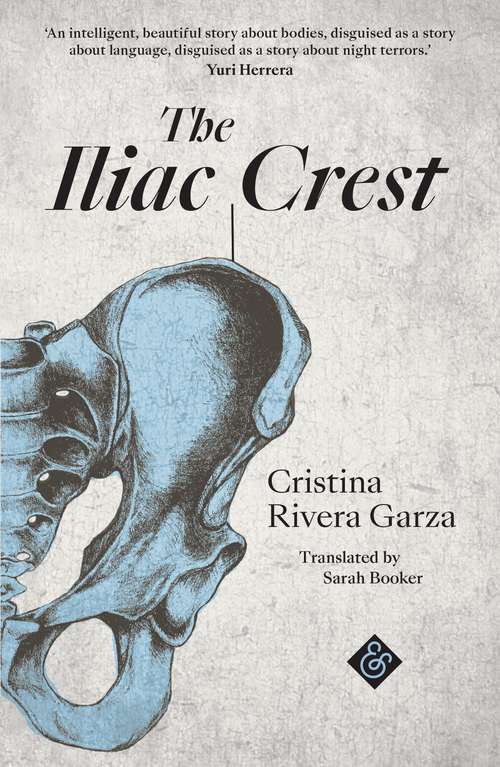 Book cover of The Iliac Crest