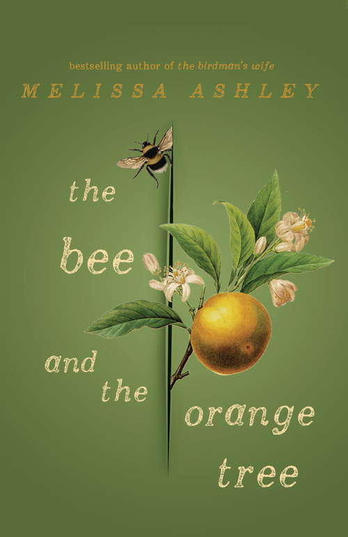 Book cover of The Bee and the Orange Tree