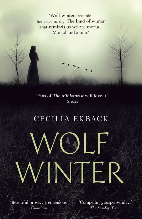 Book cover of Wolf Winter