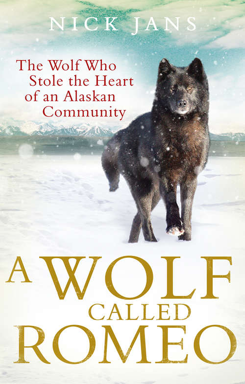 Book cover of A Wolf Called Romeo