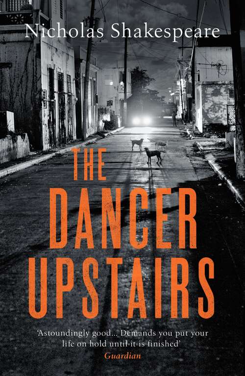 Book cover of The Dancer Upstairs: A Novel