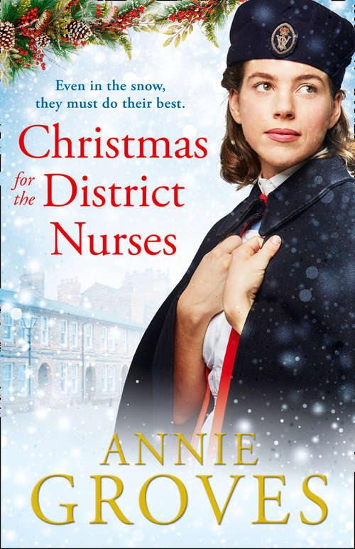 Book cover of Christmas for the District Nurses (ePub edition) (The District Nurse #3)