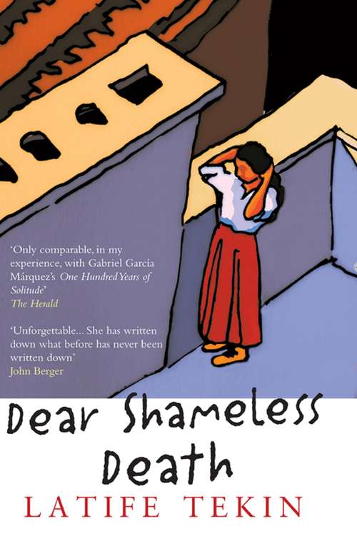 Book cover of Dear Shameless Death