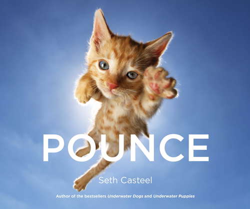 Book cover of Pounce