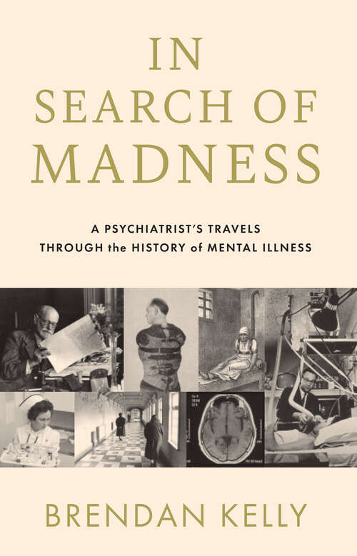 Book cover of In Search of Madness: A Psychiatrist's Travels Through the History of Mental Illness