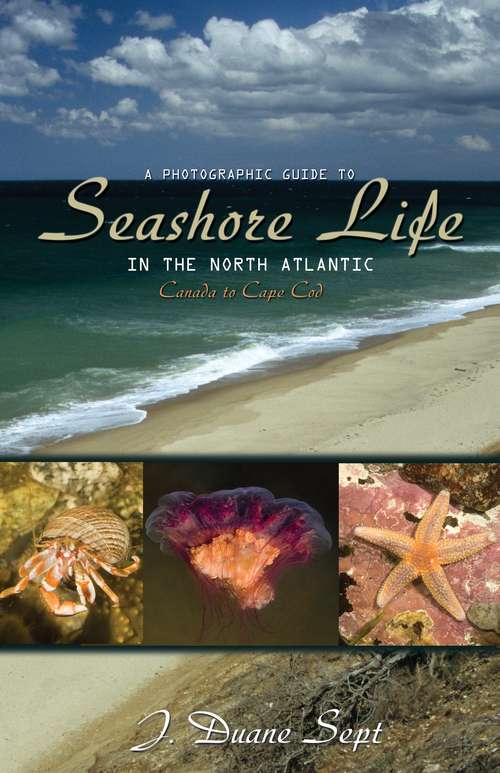 Book cover of A Photographic Guide to Seashore Life in the North Atlantic: Canada to Cape Cod