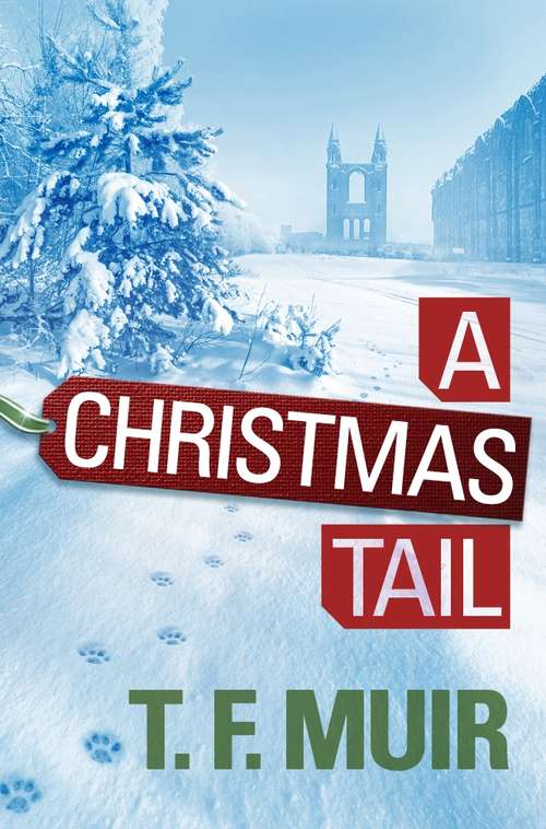 Book cover of A Christmas Tail