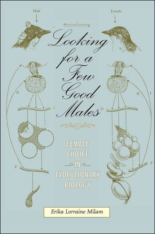 Book cover of Looking for a Few Good Males: Female Choice in Evolutionary Biology (Animals, History, Culture)