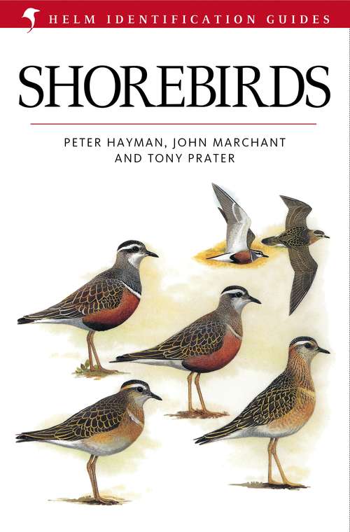 Book cover of Shorebirds: An Identification Guide To The Waders Of The World (Helm Identification Guides)
