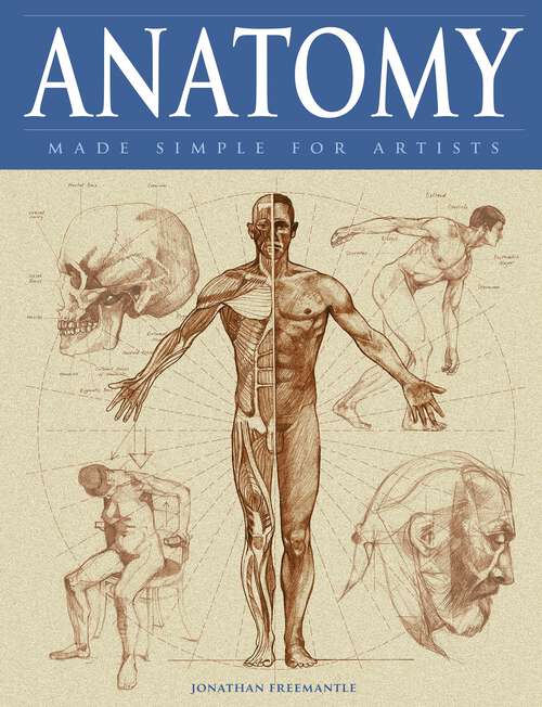 Book cover of Anatomy Made Simple for Artists